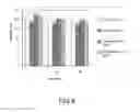 Fig. 08 - Drug Delivery Nanodevice, its Preparation Method and Uses Thereof