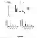 Fig. 09 - Use of transplatin to prevent hearing loss