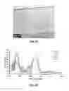 Fig. 08 - Structural colors having UV reflectance via spray layer-by-layer processing