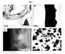 Fig. 04 - NANOSTRUCTURED MATERIAL LOADED WITH NOBLE METAL PARTICLES