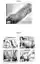 Fig. 16 - NANOSTRUCTURED MATERIAL LOADED WITH NOBLE METAL PARTICLES