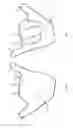 Fig. 06 - Apparatus, System, and Method for an Educational Edible Novelty Product