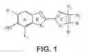 Fig. 02 - Fluorescent dyes and uses thereof