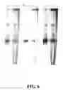 Fig. 09 - METHODS FOR SEQUENCE DETERMINATION