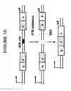 Fig. 02 - Rapid screening of biologically active nucleases and isolation of nuclease-modified cells