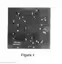Fig. 02 - Fluorescent carbon nanoparticles