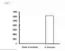 Fig. 06 - Method of detecting leukemic cell