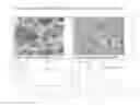 Fig. 09 - Method for determining the sensitivity of patients suffering from a cancer disease to biological therapy