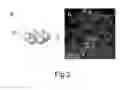 Fig. 03 - Neuronal cells cultured on microparticles and methods of using the neuronal cells