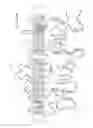 Fig. 02 - Method for producing a polypeptide using a cell that overexpresses a bicarbonate transporter