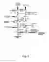 Fig. 03 - Methods for producing hyaluronan in a recombinant host cell