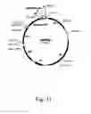 Fig. 32 - Methods for producing hyaluronan in a recombinant host cell