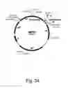 Fig. 35 - Methods for producing hyaluronan in a recombinant host cell