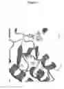 Fig. 08 - Crystal structure of human JAK3 kinase domain complex and binding pockets thereof