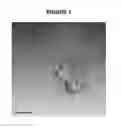 Fig. 02 - Carbon nanotube binding peptides