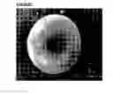 Fig. 04 - Microcarriers for stem cell culture
