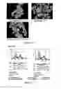Fig. 124 - Microcarriers for stem cell culture
