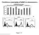 Fig. 137 - Microcarriers for stem cell culture