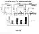 Fig. 147 - Microcarriers for stem cell culture