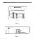 Fig. 152 - Microcarriers for stem cell culture