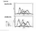 Fig. 33 - Microcarriers for stem cell culture