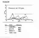 Fig. 37 - Microcarriers for stem cell culture