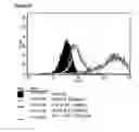 Fig. 40 - Microcarriers for stem cell culture