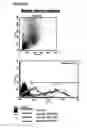 Fig. 43 - Microcarriers for stem cell culture