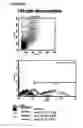 Fig. 44 - Microcarriers for stem cell culture