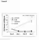 Fig. 47 - Microcarriers for stem cell culture