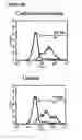 Fig. 53 - Microcarriers for stem cell culture