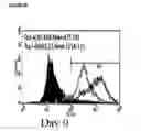 Fig. 55 - Microcarriers for stem cell culture
