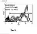 Fig. 67 - Microcarriers for stem cell culture
