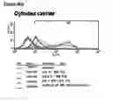 Fig. 74 - Microcarriers for stem cell culture