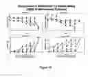 Fig. 85 - Microcarriers for stem cell culture