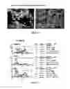 Fig. 97 - Microcarriers for stem cell culture