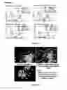 Fig. 99 - Microcarriers for stem cell culture