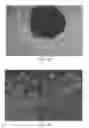 Fig. 02 - Method for producing dendritic cells