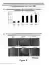 Fig. 09 - Protection of Progenitor Cells and Regulation of Their Differentiation