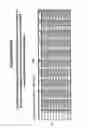 Fig. 23 - Protection of Progenitor Cells and Regulation of Their Differentiation