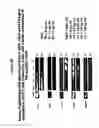 Fig. 28 - Protection of Progenitor Cells and Regulation of Their Differentiation