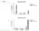 Fig. 06 - Differentiation of human embryonic stem cells