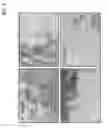 Fig. 04 - ISOLATION OF MULTI-LINEAGE STEM CELLS