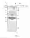 Fig. 07 - Method and apparatus for separating biological materials