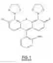 Fig. 02 - Compositions, methods and kits for biarsenical fluorophore labeling