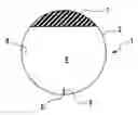 Fig. 01 - Agility training ball