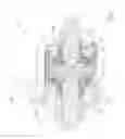 Fig. 02 - Locking differential having a split-center driver