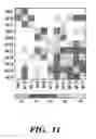 Fig. 28 - Solution-based methods for RNA expression profiling