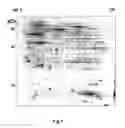 Fig. 02 - Detection of endometrial secretion markers for assessment of endometriosis