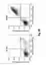 Fig. 06 - High throughput methods for functionally determining RNA interference efficiency